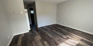 Redwoods Gallery 4