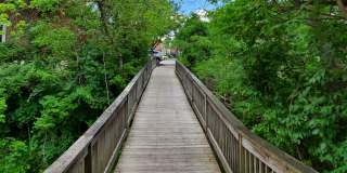 Indian Creek Gallery 54