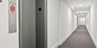Horizon Gallery 240