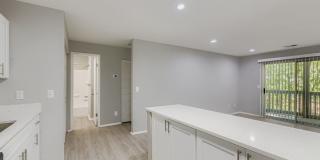 Keita 1875 Gallery 55