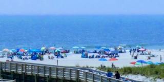 813 Shore Road Gallery 27