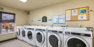 Pacific Apartments Gallery 11