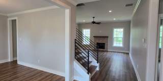 Modern and Spacious 4 bedroom home in Olive Branch for Lease Gallery 15