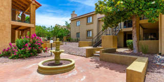 8255 N Oracle 8255 N Oracle Gallery 1