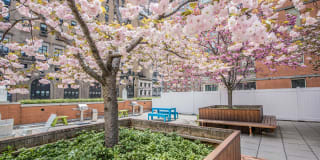 Longacre House Apartments Longacre House Apartments Gallery 4