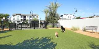 The Strand Gallery 32