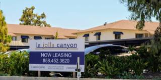 La Jolla Canyon Gallery 37