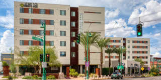 Agave 350 Gallery 46