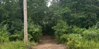 13542 Hwy 47, Lot 4 Gallery 1