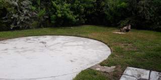 Spacious 3BD/2BA Home Gallery 3