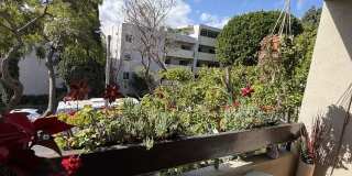 950 N Kings Rd Gallery 17