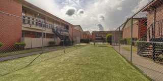 Ashford Buena Vista Gallery 30