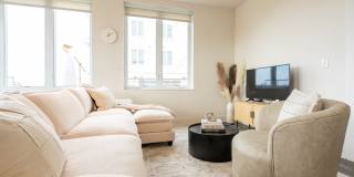 One41 Wellington Gallery 20