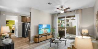 TGM Ocotillo Bay Gallery 8