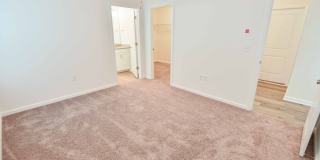 Beautiful New Construction 3/2.5 Home, Located off Centerville in Canopy Subdivision Gallery 34