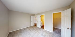 Cypress Run Gallery 30