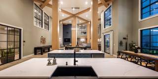 Arcadia 331 Gallery 40