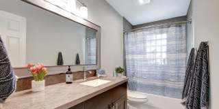 702 Grove Street Gallery 24