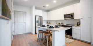 J. Ardin at Apopka Gallery 7