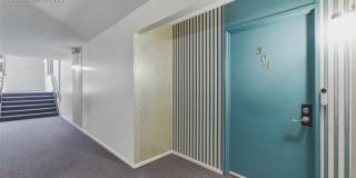 6550 Delmonico Drive Gallery 2