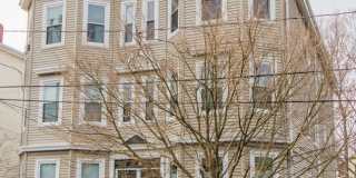 126 Minden StreetUnit 3 Gallery 12