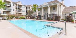 Waterbrook Gallery 4