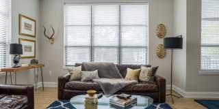 The Broadview Gallery 22