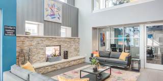 Indigo 19 Gallery 12