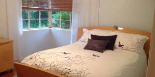 1521 Marion Avenue Gallery 2