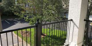Beautiful 1-Bedroom Apartment for Rent in Mosaic at Millenia Gallery 12