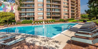 Crystal Place Gallery 22