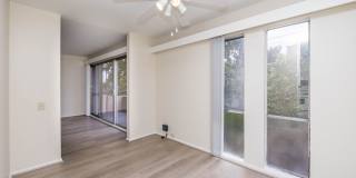 115 Moss Avenue Gallery 26