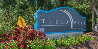 Tesla Park Gallery 31