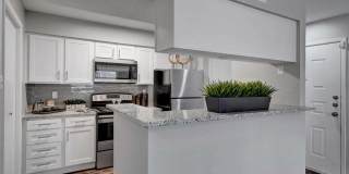 Foundations at Edgewater Gallery 4