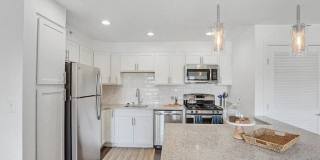 Nautilus Point Gallery 27