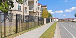 Water Oak Gallery 82