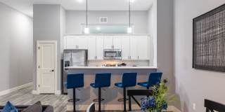 The Residence at 1000 Elm Gallery 99