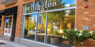 Belltown! Belltown! Gallery 1