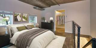 Alcyone Gallery 26
