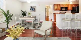 286 Stonewall Creek Drive Gallery 1