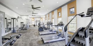 The Landing at Round Rock Gallery 15