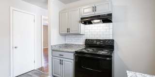 1295 West Gallery 2