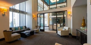 Virage Gallery 38