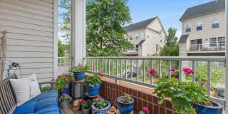 4951 BRENMAN PARK Drive Gallery 14