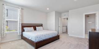 44504 WOLFHOUND Square Gallery 12