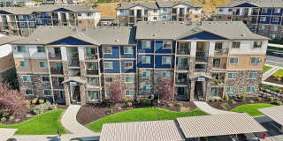 Triton Terrace Gallery 26