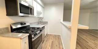 5708 Tujunga Ave. Gallery 13