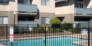 Hillgrove Creek Gallery 7