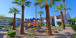 The Coronado (Palms on Monte Vista) Gallery 21