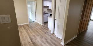 152 SEAGULL Gallery 4